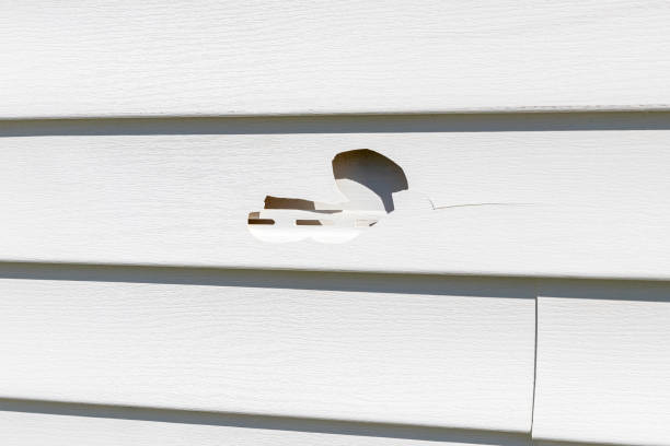 Best Shed Removal  in Hanamaulu, HI
