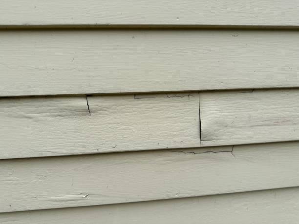 Best Construction Debris Removal  in Hanamaulu, HI